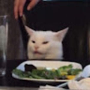 Meet your Posher, Angie